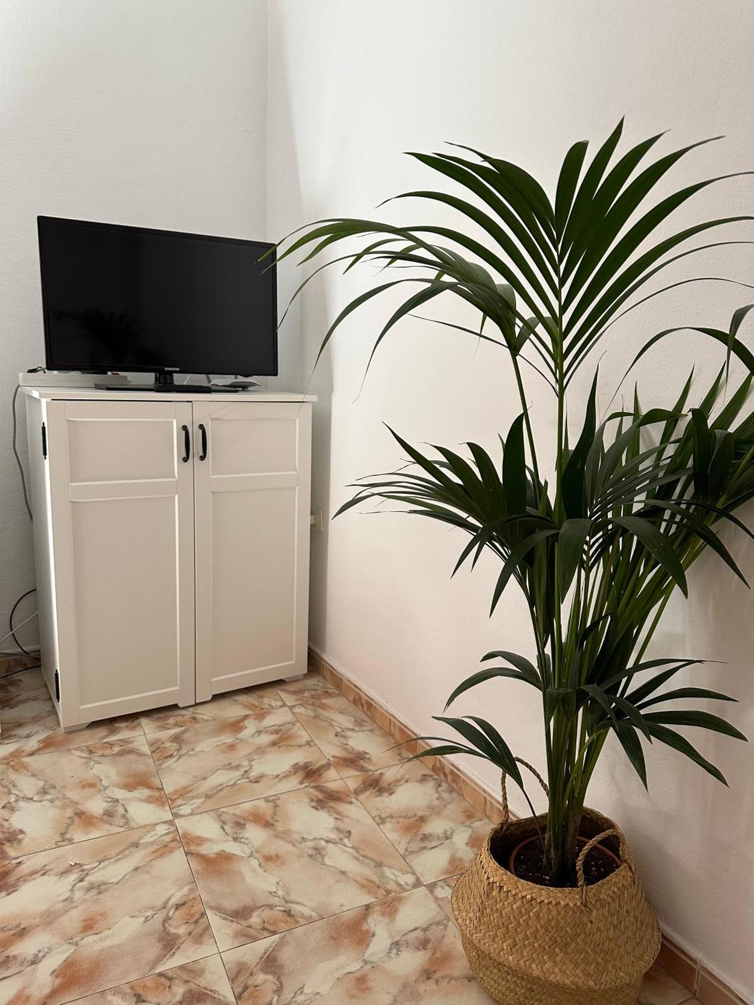 Apartamento Fortaleza Vallehermoso Ngoại thất bức ảnh
